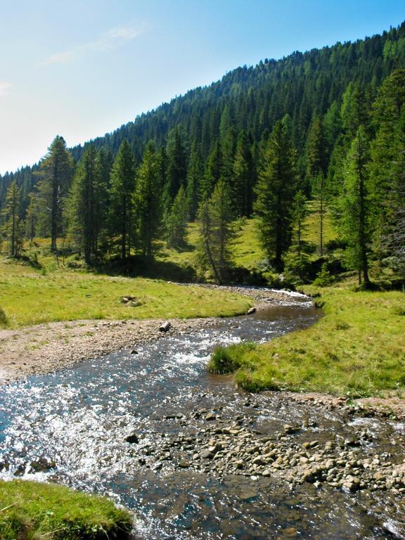Ferienwohnungen Almsonne Thomatal Dış mekan fotoğraf